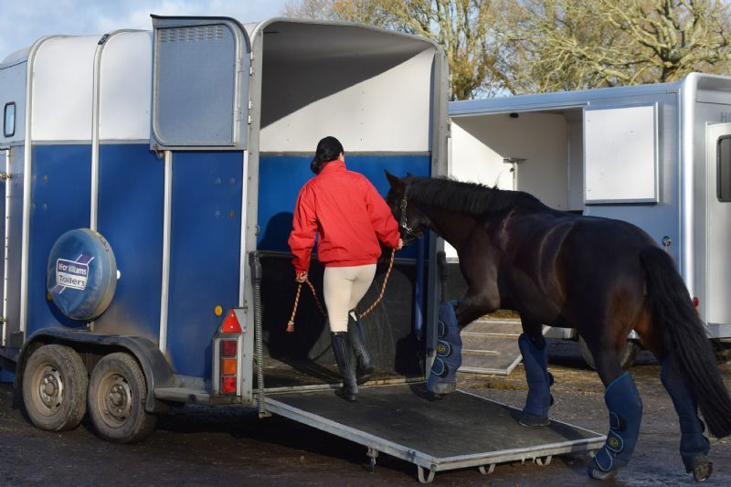 Horse Transport